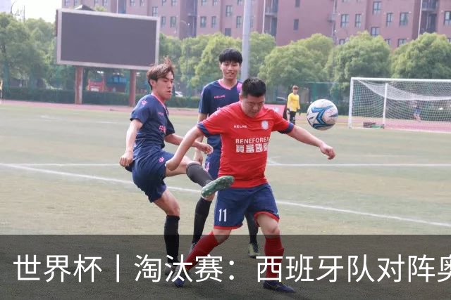 世界杯丨淘汰赛：西班牙队对阵奥地利队